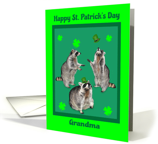 St. Patrick's Day to Grandma, raccoons with shamrocks,... (734292)