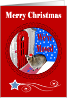 Christmas We’ve moved, Raccoon in Santa Hat, snow, candy canes, red card