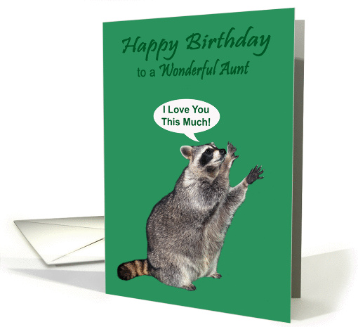 Birthday for Aunt, raccoon holding hands apart, I love you... (738746)