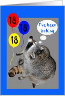 18th Birthday, raccoons itching with balloons card