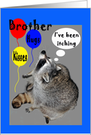 Birthday for brother, raccoons itching with balloons card