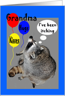 Birthday for Grandma, raccoons itching with balloons card