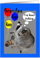 Birthday for Grandpa, raccoons itching with balloons card