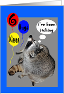 6th Birthday, raccoons itching with balloons card