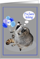 80th Birthday Card with an adorable Raccoon Itching with Balloons card