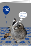 100th Birthday, cute raccoon with a balloon itching on gray and blue card