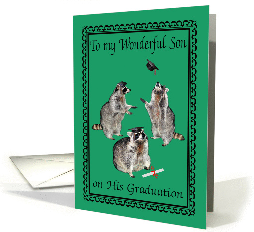 Congratulations To My Son, graduation, raccoons with... (752167)