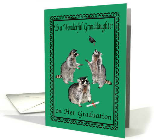 Congratulations To Granddaughter, graduation, raccoons,... (752177)