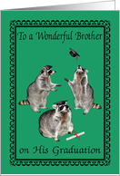 Congratulations To Brother, graduation, raccoons with graduation caps card