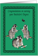 Congratulations on Bachelor’s Degree with Cute Raccoon Graduates card