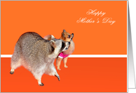 Mother’s Day. General, Raccoon with Pomeranian on orange card