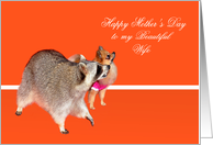 Mother’s Day to Wife, Raccoon and Pomeranian looking up, orange card