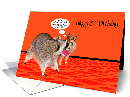 51st Birthday, adorable raccoon with cute Pomeranian on orange card