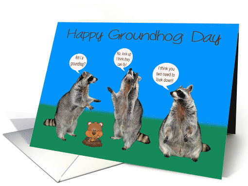 Groundhog Day with Cute Raccoons Pondering over Groundhogs card