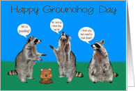 Groundhog Day with Cute Raccoons Pondering over Groundhogs card