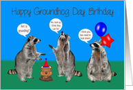 Birthday On Groundhog Day with Confused Raccoons and Balloons card
