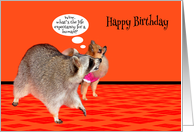 Birthday, general, adorable Raccoon with cute Pomeranian on orange card