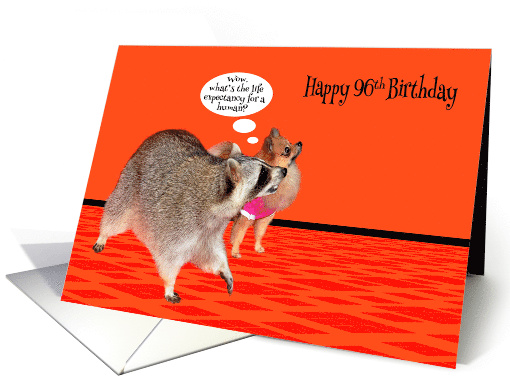 96th Birthday, adorable raccoon with a cute Pomeranian on orange card