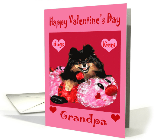 Valentine's Day to Grandpa with Pomeranian and... (756063)