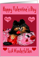 Valentine’s Day To Son, Pomeranian with conversation hearts on pink card