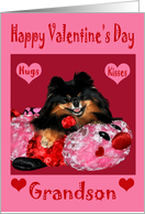 Valentine’s Day to Grandson, Pomeranian laying on bug with hearts card