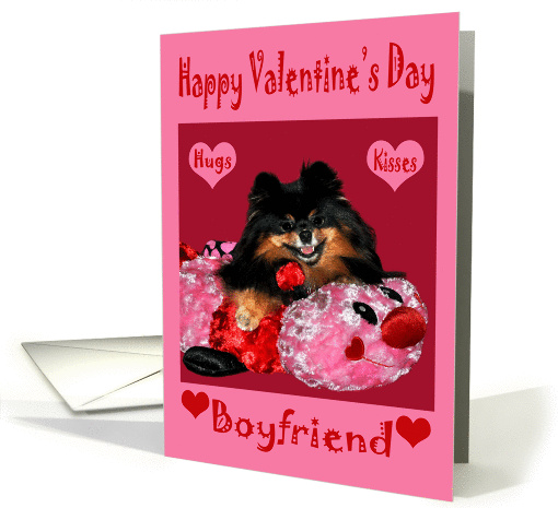 Valentine's Day To Boyfriend, Pomeranian laying on bug... (756684)