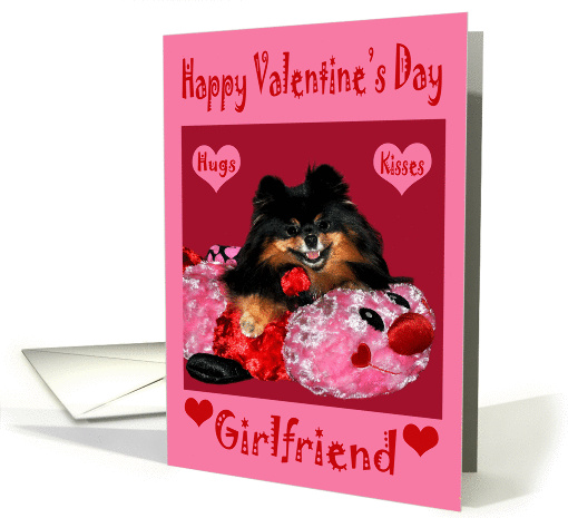Valentine's Day To Girlfriend, Pomeranian laying on bug... (756685)