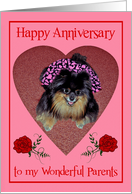 Anniversary to Parents, Pomeranian with cute smile in heart shape card