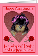 Wedding Anniversary to Sister and Brother in Law with a Pomeranian card