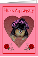 Anniversary, general, Pomeranian with cute smile in heart shape, pink card