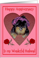 Anniversary to Husband, Pomeranian with cute smile in a heart shape card