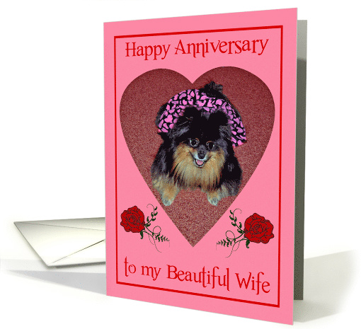 Anniversary to Wife, Pomeranian with cute smile in a heart shape card