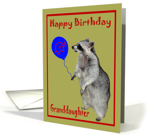 Birthday for Granddaughter, Raccoon with a blue, elephant balloon card