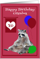 Birthday to Grandma, Raccoon sitting with colorful balloons, magenta card