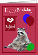 Birthday to Boyfriend, Raccoon sitting, colorful balloons, magenta card