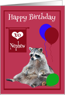 Birthday to Nephew with a Raccoon Sitting and Colorful Balloons card