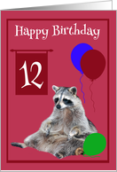 12th Birthday, Raccoon sitting with colorful balloons on magenta card
