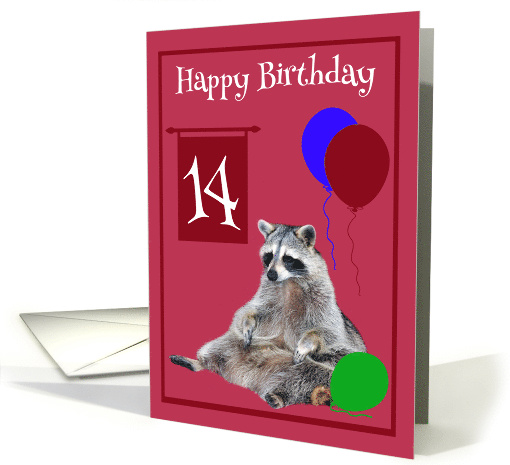 14th Birthday, Raccoon sitting with colorful balloons on magenta card