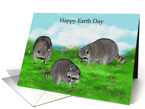 Earth Day, general, beautiful raccoons with flowers and... (760907)