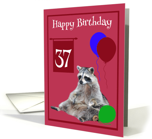 37th Birthday, cute raccoon sitting with colorful balloons... (761878)