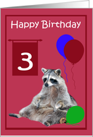 3rd Birthday, cute raccoon sitting with colorful balloons on magenta card