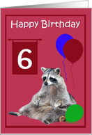 6th Birthday, cute raccoon sitting with colorful balloons on magenta card