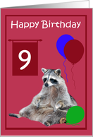 9th Birthday, Raccoon sitting with colorful balloons on magenta card
