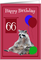 66th Birthday, Raccoon sitting with colorful balloons on magenta card