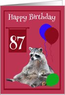 87th Birthday, cute raccoon sitting with colorful balloons on magenta card