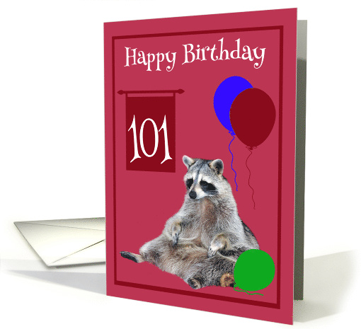 101st Birthday with a Raccoon Sitting and Colorful... (762575)