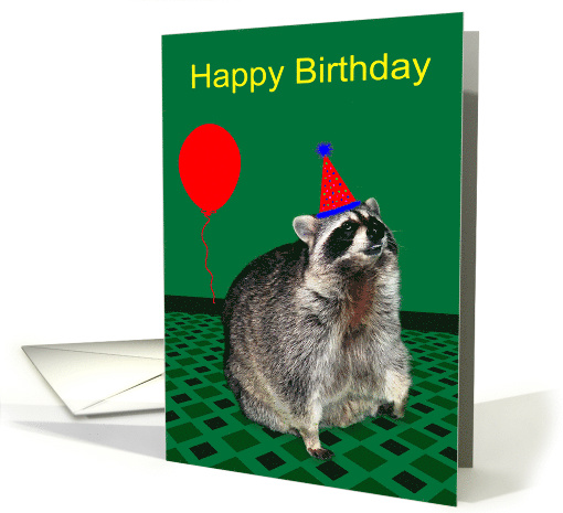 Birthday, general, adorable raccoon with party hat,... (764716)