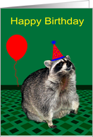 Birthday, general, adorable raccoon with party hat, balloon on green card