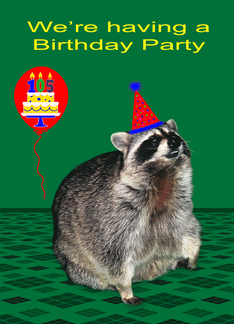 Invitations, 105th Birthday Party, Raccoon with a party hat, balloon