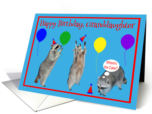 Birthday to Granddaughter, Raccoons with party hats,... (778506)